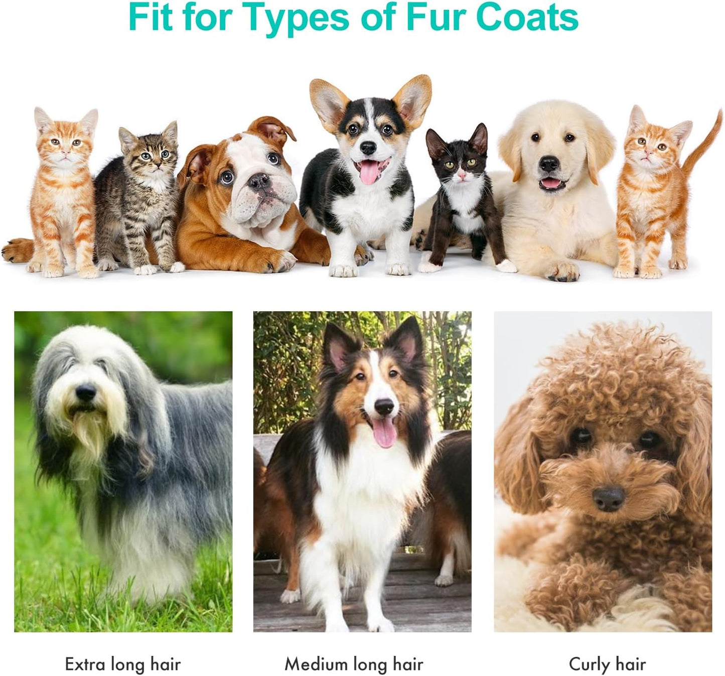 PawPuls - Pro Grooming Kit