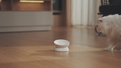 PawPuls Smart Feeder